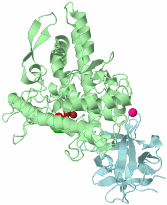 Image Biological Unit 2