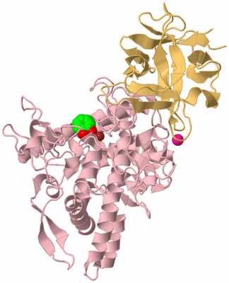 Image Biological Unit 3