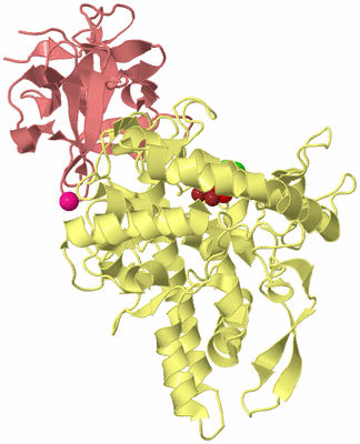 Image Biological Unit 4