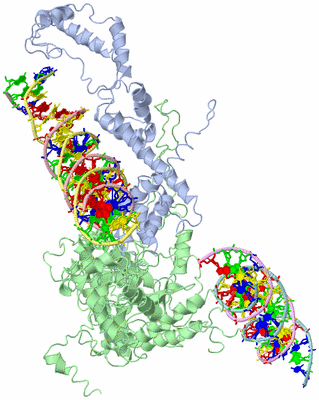 Image Asym./Biol. Unit