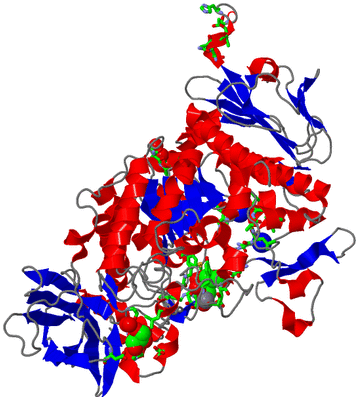 Image Asym./Biol. Unit - sites