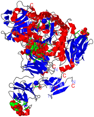 Image Asym./Biol. Unit - sites