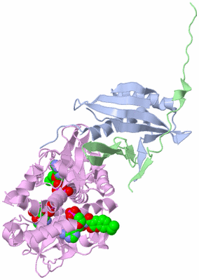 Image Asym./Biol. Unit