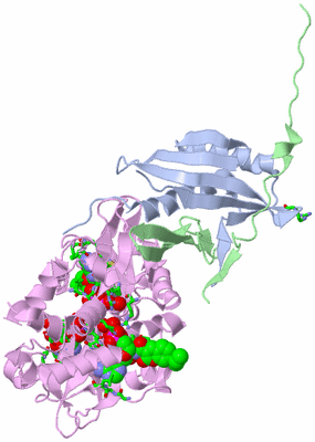 Image Asym./Biol. Unit - sites