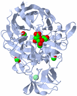 Image Biological Unit 1