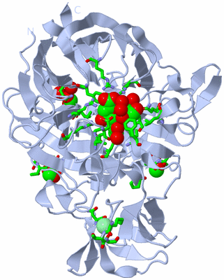 Image Biol. Unit 1 - sites