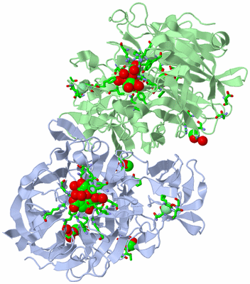 Image Asym. Unit - sites