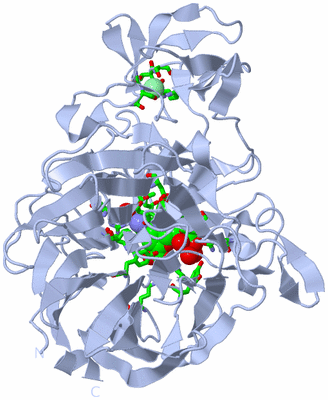 Image Biol. Unit 1 - sites