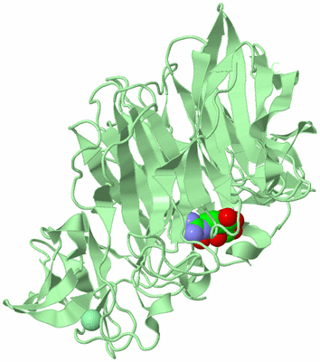 Image Biological Unit 2