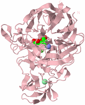 Image Biological Unit 3