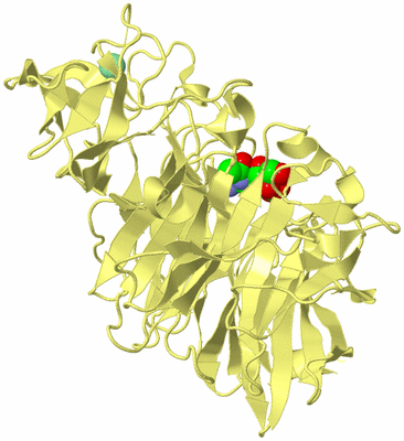 Image Biological Unit 4