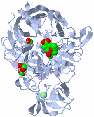 Image Biological Unit 1