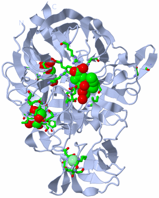 Image Biol. Unit 1 - sites