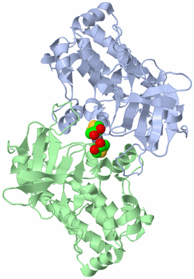 Image Asym./Biol. Unit