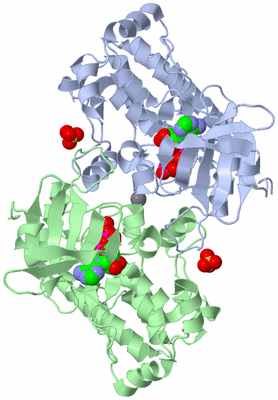 Image Asym./Biol. Unit