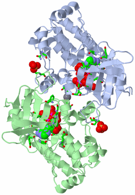 Image Asym./Biol. Unit - sites