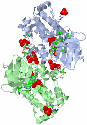 Image Asym./Biol. Unit - sites