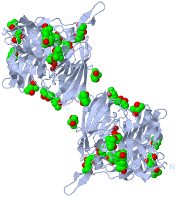 Image Biological Unit 1