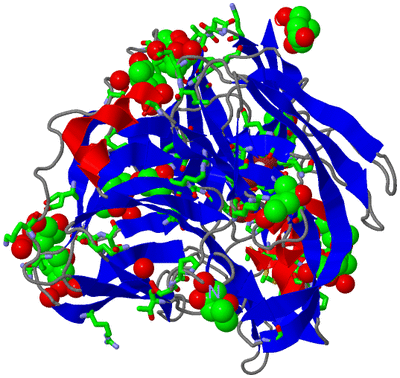 Image Asym. Unit - sites