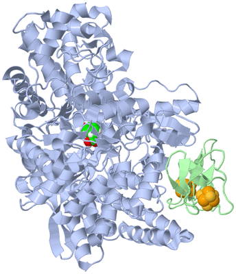 Image Biological Unit 1