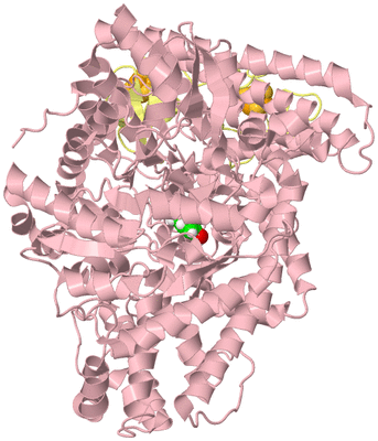 Image Biological Unit 2