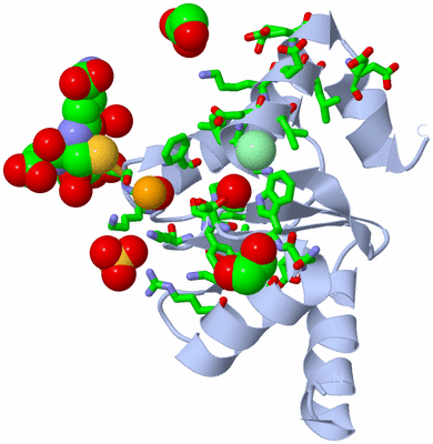 Image Biol. Unit 1 - sites