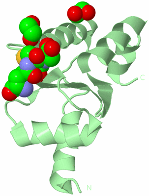 Image Biological Unit 2