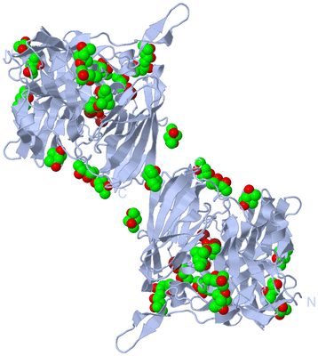 Image Biological Unit 1