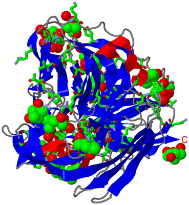 Image Asym. Unit - sites