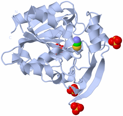 Image Biological Unit 1