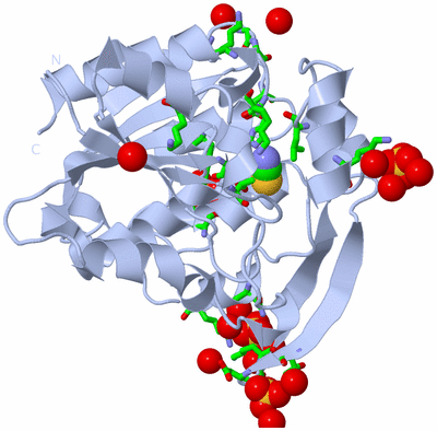 Image Biol. Unit 1 - sites