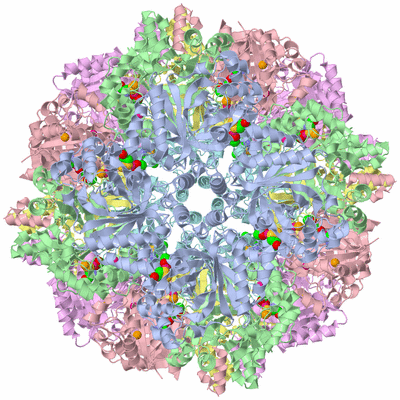 Image Biological Unit 1