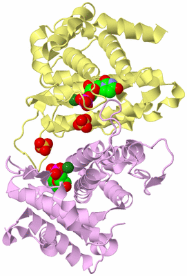 Image Biological Unit 2