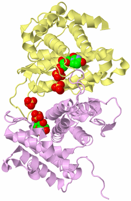 Image Biological Unit 2