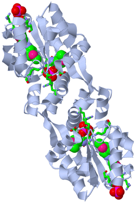 Image Biol. Unit 1 - sites