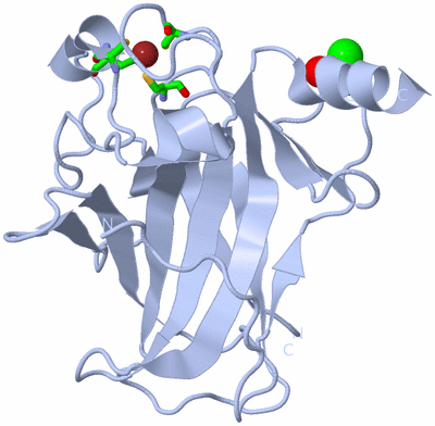 Image Biol. Unit 1 - sites