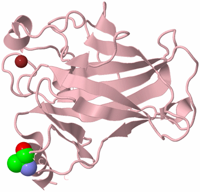 Image Biological Unit 3