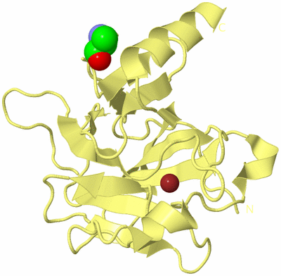 Image Biological Unit 4