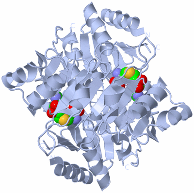 Image Biological Unit 1