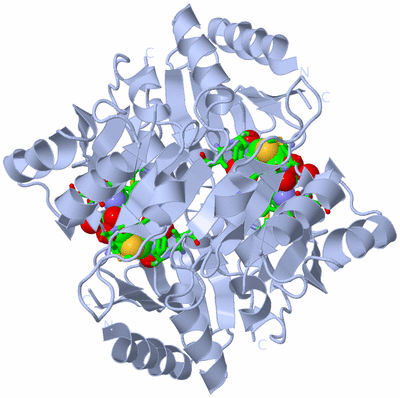 Image Biol. Unit 1 - sites