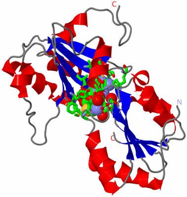 Image Asym. Unit - sites