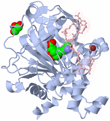 Image Biological Unit 1