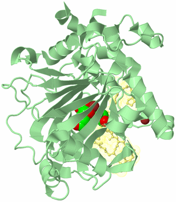 Image Biological Unit 2