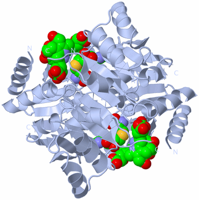 Image Biological Unit 1