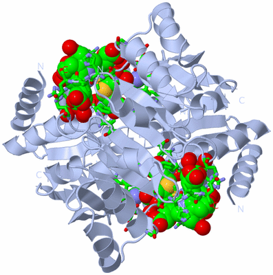 Image Biol. Unit 1 - sites