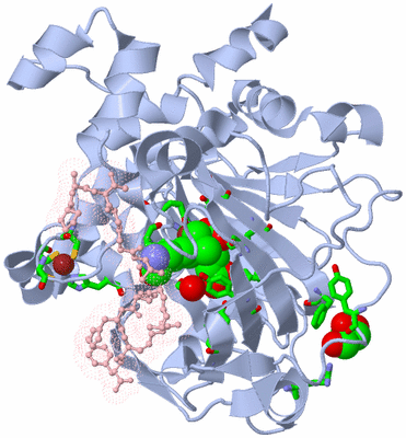 Image Biol. Unit 1 - sites