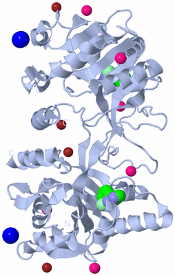 Image Biological Unit 1