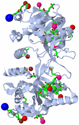 Image Biol. Unit 1 - sites