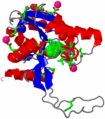 Image Asym. Unit - sites