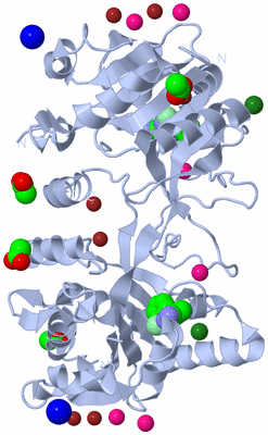 Image Biological Unit 1